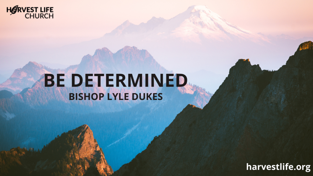 Be Determined Image