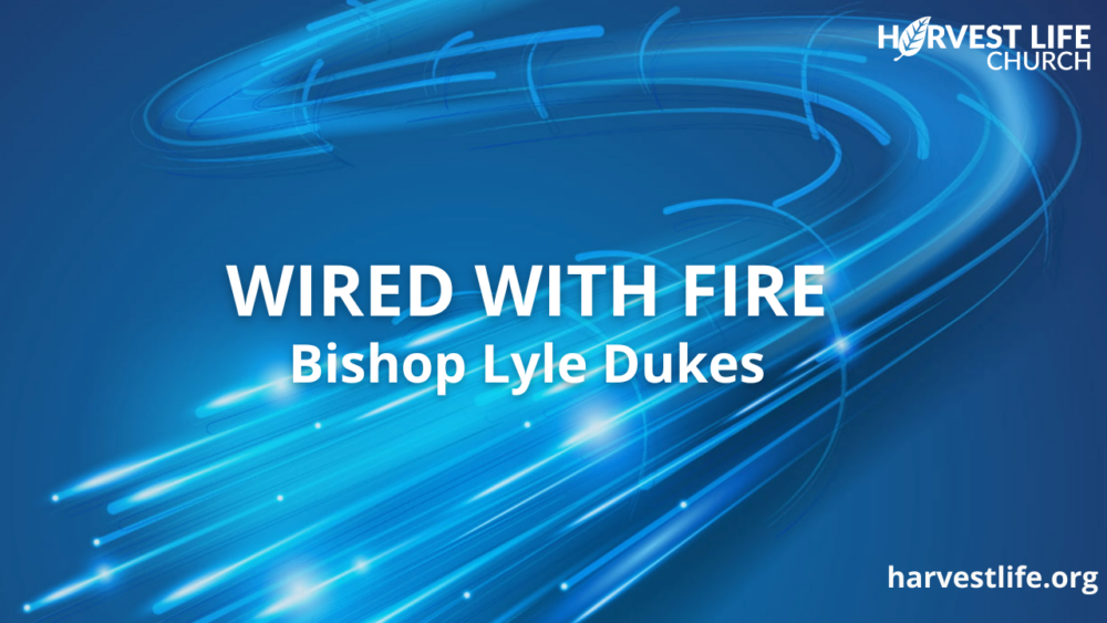 Wired With Fire Image